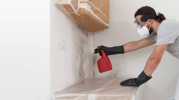 Professional Mold Removal technician working in Woodbine, GA
