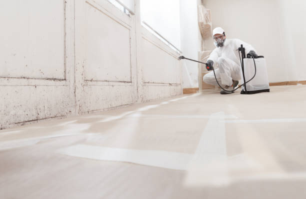 24/7 Emergency Mold Removal experts in Woodbine, GA